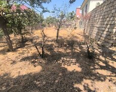 Can Tepe Qesebesinde 4 Sot Kupcali Torpaq