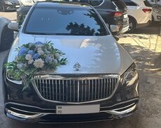 Maybach ag qara bey gelin maşın kirayəsi