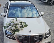 Sclass Maybach kirayə toy maşıni