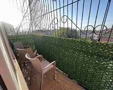 Balkon sarmasiqları