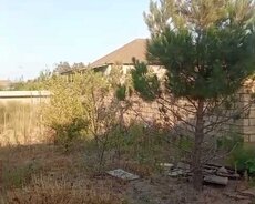 Nardaran qesebesi