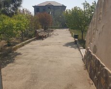 Ləhiş bağlarında 14 sot torpaq sahəsi satılır