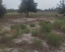 Nardaran bag yolu