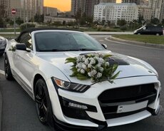 Ford Mustang gelin bey maşın icarəsi