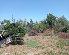 Lənkəran Torpaq Sahəsi satılır