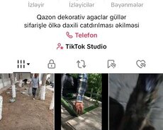 Tiktok səhifəsi