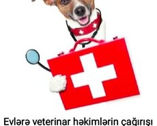 Zookilinika-Baytarlıq kilinikası
