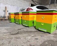 Arı yeşikləri hər qiymətə