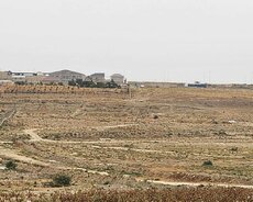 Saray qəsəbəsi, Zərifə Əliyeva küçəsi