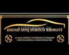 Ayiq sürücü xidməti