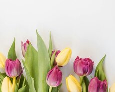 Florist xanım tələb olunur
