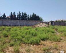 Albalı bağ massivində 4 sot torpaq satılır