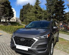 Hyundai Tucson icarəsi