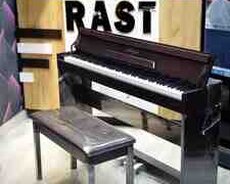 Elektro piano Allegro, Ag-8817 Pvs Brown