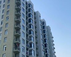 ученые 2 комнаты