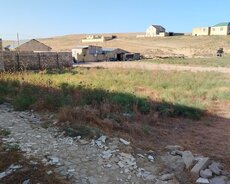 Bütün sənədləri var