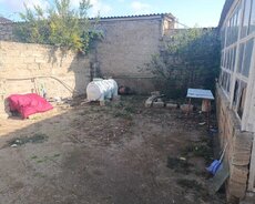 Maştağa tavayliq
