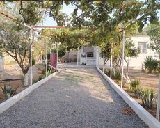 Bilgəh yolu