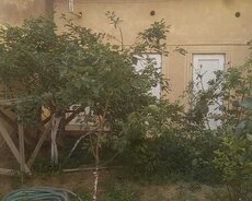 Novxanıda obyekt üçün 60 sot torpaq satılır