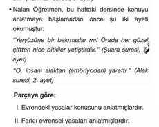 Clas of clans