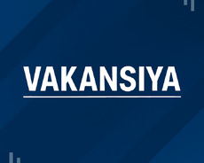 xaricdə iş viza dəstəyi