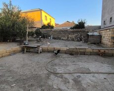 Masazirda 5 Sot Torpaq Sahesi