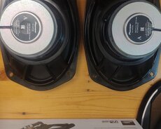 Pioneer kalonka kodlu orijinal 650w