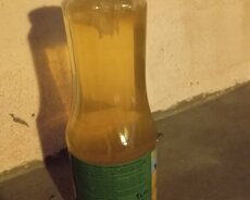 Təmiz Abşeron abqorasi təziqin dərmanı
