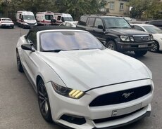 Аренда Мустанга посуточно без депозита