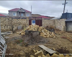 torpaq saışı