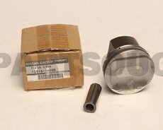 Nissan Sunny porseni