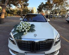 Toy üçün Mercedes Maybach kirayəsi