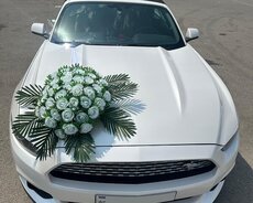 Mustang bey gelin maşıni