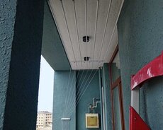 Paltar asılqanı