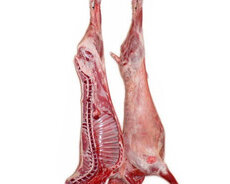 Quzu əti. 9-13 kg. Monqolustan