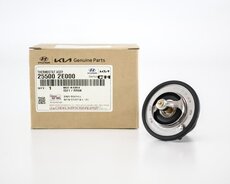 Kia Forte thermostat (255002e000)