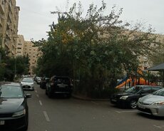 2 otaqli 9un2si B Nuriyev 42