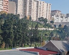 Gəncə prospekti