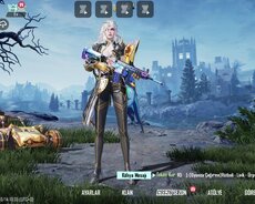 Ucuz qiymətə hesablar