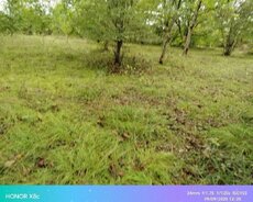 Quba rayon rustov kəndində