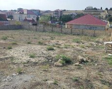 Novxanı Bağlarında Təcili Torpaq Sahəsi Satılır
