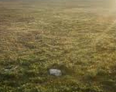 Torpaq sahəsi 40 sot