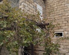 həyət evi satilir Lökbatan qesebesi