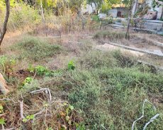 Novxanı qəsəbəsi, M.s.ordubadi küçəsi