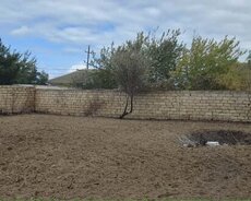 Nardaran qəs Sea Breeze