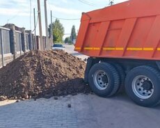 Qara torpağ peyin istənilən yerə sifariş verə bilərsiniz