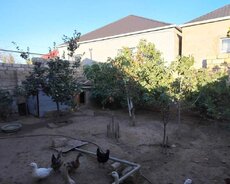 Meştağada həyət evi satilir