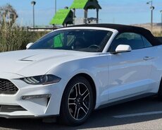 Ford Mustang 2020 icarəsi günlük