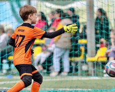 peşəkar qapicilar maktabi