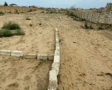 Nardaran lehic baglari